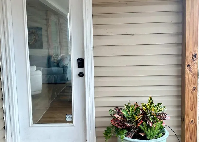 New St George Island Beach Rental Private Pool Golf Cart Included Pet Friendly Direct Beach Access